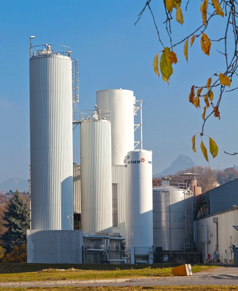 Onsite Plant France