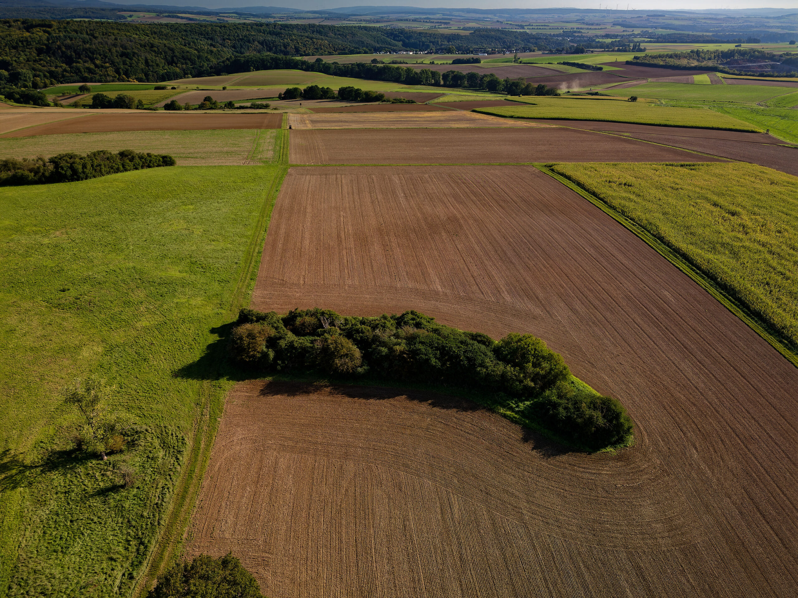 Teaser dritte BI Hengen